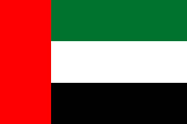 10. Emirati Arabi Uniti